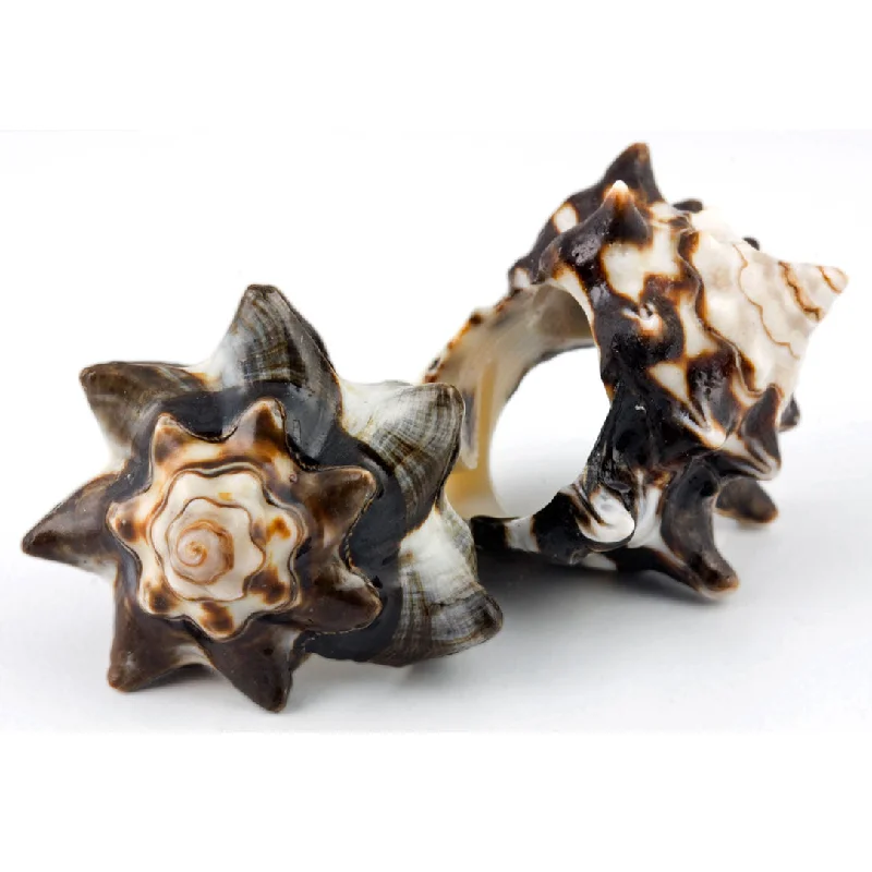 women double band rings -Conch Shell Ring - Original Conch