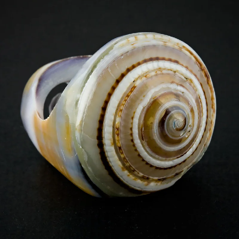 women handmade rings -Seashell Ring - Purple Sand Spiral